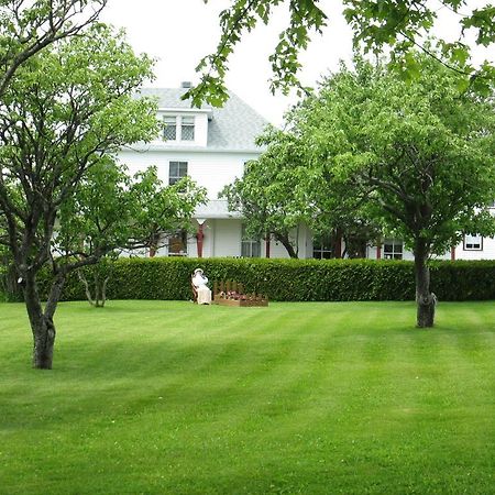 Gite Les Acres Tranquilles B&B Port-Daniel Buitenkant foto