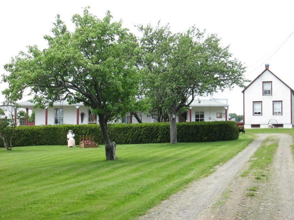 Gite Les Acres Tranquilles B&B Port-Daniel Buitenkant foto
